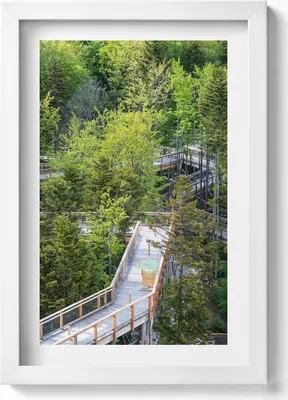 Produktbild von Weg in Krynica Zdrój– Wandbild mit Rahmen – Gerahmtes Bild  – Wanddekoration – 20x30 cm – Weiß