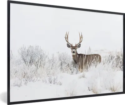 Produktbild von MuchoWow® Gerahmtes Poster Hirsche - Winter - Schnee - Tiere - Jahreszeiten - Weiß 90x60 cm - Poster mit Schwarzem Bilderrahmen Wandposter Rahmen Foto Bilder - Fotorahmen - Foto-Plakat