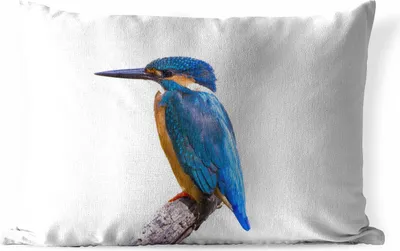 Produktbild von MuchoWow® Outdoor Kissen - Eisvogel - Federn - Zweig - Blau - 50x30 cm - Wetterfest - Lounge Kissen - Sofa kissen - Wohnzimmer Dekoration