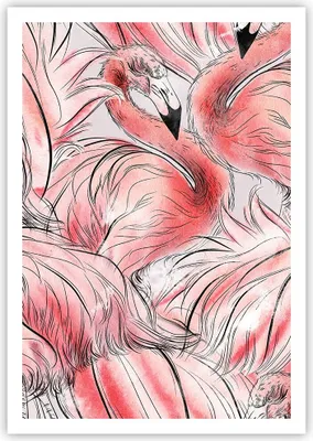 Produktbild von Poster - Poster ohne Rahmen - Flamingo Pink Exotik - 70x100 cm - Wand Bild - Wanddeko - Wandbilder - Kunstposter - Wandposter - Bilder - Kunstdruck - Wanddekoration - Wandbild - P2XPA70x100-5070