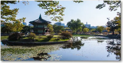 Produktbild von Tulup Glas-Bild -140x70- Wandkunst Dekorative Wand für Küche & Wohnzimmer - Landschaften - Südkorea - Grün