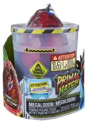 Imagen del producto de 6076677, Niño/a, 5 años