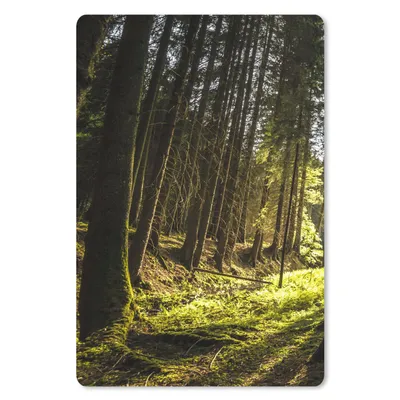 Produktbild von MuchoWow® Mauspad Mousepad Baum - Natur - Sonne - Wald 18x27 cm - Mousepads - Maus Mat - Pad - Mausunterlage