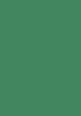 Produktbild von HEYDA 203160057 Plakatkarton Standardfarben 48 x 68 cm laubgrün