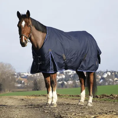 Produktbild von Equithème Weidedecke in Größe 5'9 - Classic 1200D 0g Outdoordecke