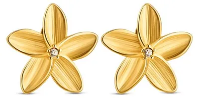 Produktbild von Goldene Damen Ohrringe