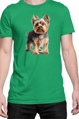 Produktbild von Herren T-Shirt Dogs Breeds Yorkshire Terrier Dog Breed 005, Man L / Grün