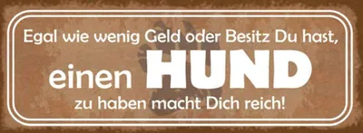 Produktbild von vianmo Holzschild 10x27 cm einen Hund zu haben macht reich Tier Haustier
