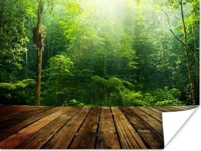 Produktbild von MuchoWow® Poster Boden - Holz - Dschungel - Jungen - Mädchen - Kinder - Kind 120x90 cm - Wandbild