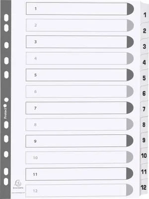 Produktbild von Exacompta 25x Register 12 Taben von 1 bis 12 A4 Weiß MWD1-12Z