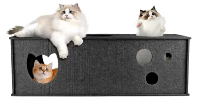Produktbild von Katzentunnel für Innenkatzen, großer Filz L-förmiger Katzentunnel, interaktives Spielzeug mit Peekaboo Löchern für Katzen (Grau, Gerade)