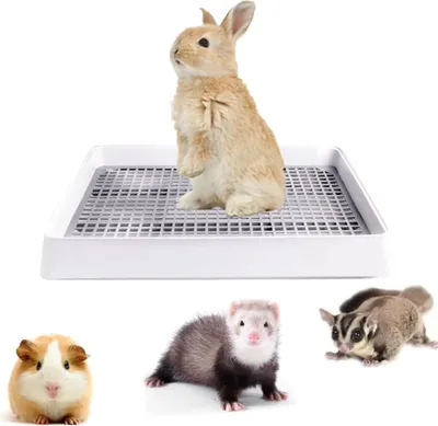 Produktbild von Katzentoilet für Kaninchen mit Gitter für Meerschweinchen - Toilette für Kleintiere - Hamster, Frettchen, Chinchillas - Badezimmervoliere.