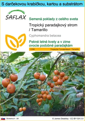 Obrázok produktu pre SAFLAX Darčeková sada - Tropický paradajkový strom / Tamarillo - Cyphomandra betacea - 50 Semená - S darčekovou krabičkou, prepravným štítkom, darčekovou kartou a pestovateľským médiom