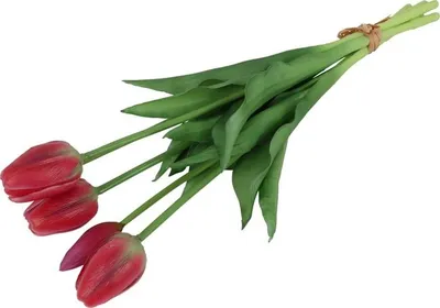 Immagine prodotto di Countryfield Bouquet di tulipani – Tulipani – Rosa – 40 cm