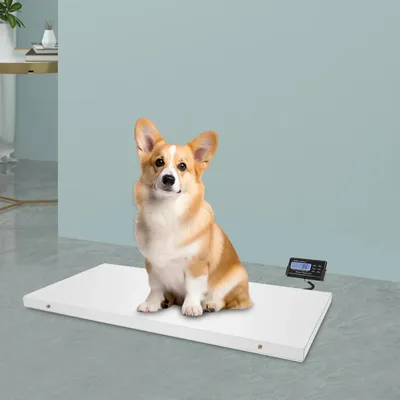 Produktbild von Tierwaage - Digitale Veterinär-/Haustierwaage - LCD-Display - Maße 103,5 x 53 x 4 cm - Für Haustiere & Nutztiere - Ohne Batterien - Silber
