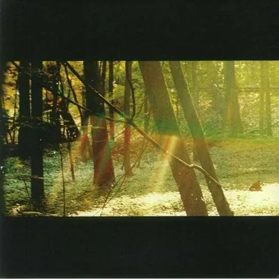 Obrázok produktu pre Childish Gambino - Camp (180g) (2 LP)