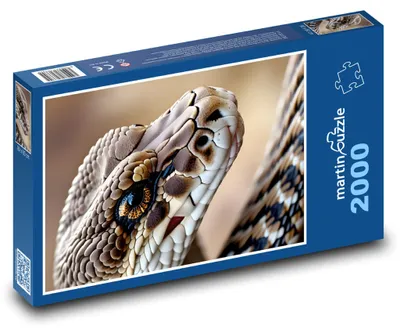 Obrázok produktu pre martinpuzzle - Puzzle 2000 - Chrastavý hadík - had, zviera