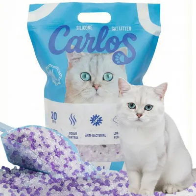 Immagine prodotto di CARLOS Lettiera per gatti in silicone 1 x 3,8 litri Senza polvere e senza profumo, superassorbente, con proprietà antibatteriche, igienica e assorbente