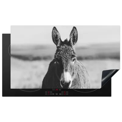 Obrázek produktu pro KitchenYeah® Krycí deska na sporák osel - černá - zvířata - bílá, 91x52cm, dekorace do kuchyně, keramická krycí deska, krycí deska na varnou desku