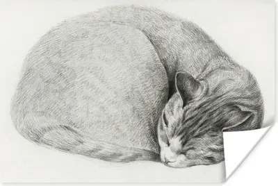 Produktbild von MuchoWow® Poster Schlafende Katze im Liegen - Gemälde von Jean Bernard 120x80 cm - Bilder