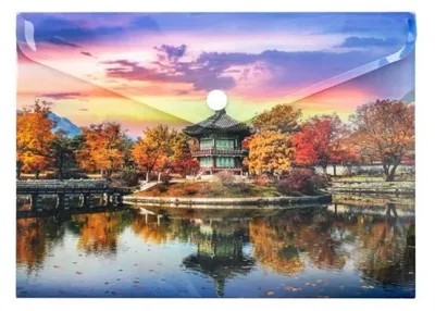 Image de Pochette A4 en PP à élastique avec impression « Orient » - Panta Plast