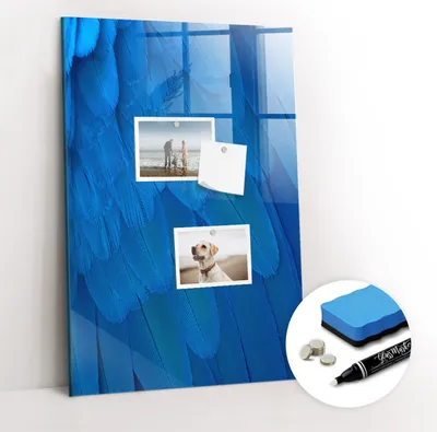 Produktbild von Magnetpinnwand Memoboard - Zubehörsatz - Weißer Marker + Schwamm + Magnete - 40 x 60 cm - Vogelfeder