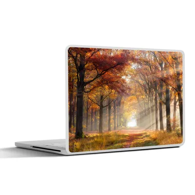 Produktbild von MuchoWow® Laptop Aufkleber Sticker Cover Herbst - Wald - Baum 31x22.5 cm - Laptop-Deko