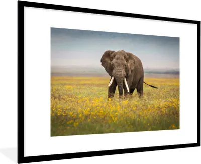 Produktbild von MuchoWow® MuchoWow® Gerahmtes Poster Elefant - Blumen - Gras - Tiere - Natur 90x60 cm - Poster mit zchwarzem Bilderrahmen - Wanddekoration - Fotos