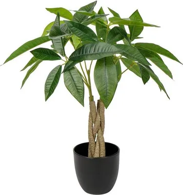 Obrázok produktu pre Umelá rastlina Pachira aquatica, 45 cm, v črepníku – dekoratívna izbová rastlina do obývacej izby, jedálne, kúpeľne alebo ako nástenná dekorácia