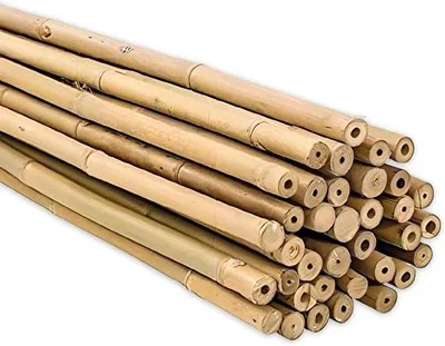 Zdjęcie produktu dla Paliczki bambusowe 60 cm, średnica 6–8 mm, do pomidorów
