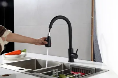 A person is using a black kitchen faucet with a pull-down sprayer over a double sink. There are plates and a carrot on the counter.