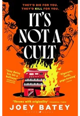 Immagine prodotto di It's Not a Cult