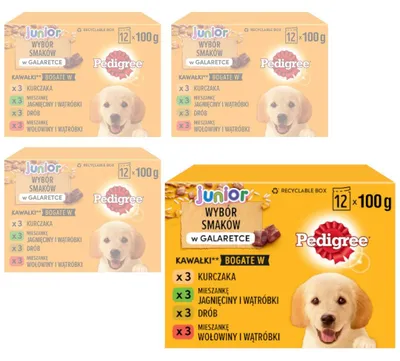 Zdjęcie produktu dla Pedigree Junior Saszetka 48x100g Mokra Karma W Galaretce Dla Psa Mix Czterech Smaków