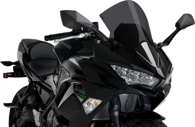 Obrázok produktu pre PUIG r-racer zadymená tmavá obrazovka pre Kawasaki Ninja