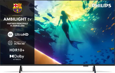A television screen displaying a vibrant underwater scene with a mermaid and fish, with marketing text and logos on the left side.