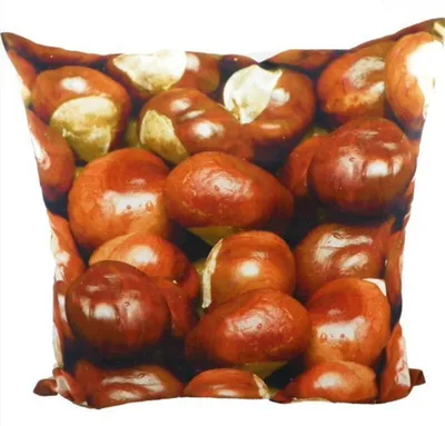 Produktbild von Landhaus Kissen - Dekokissen Kastanien ca 50 x 50 cm