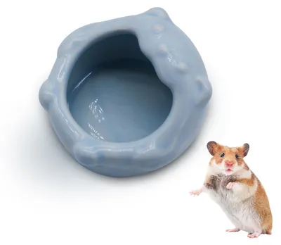 Imagen del producto de Pequeño comedero y bebedero de cerámica para hámster, ideal para hámsteres enanos