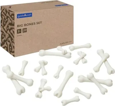 Obrázok produktu pre Guidecraft vzdelávacia hračka Big Bones Set - 20 dielov