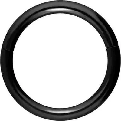 Produktbild von Ohrpiercing, Nasenpiercing, Septum Piercing Titan Segmentring Clicker Schwarz Innendurchmesser: 7mm + Stabstärke: 1,2mm