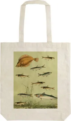 Image de Sac en coton STBAG 64 Nordic Fish Shedding