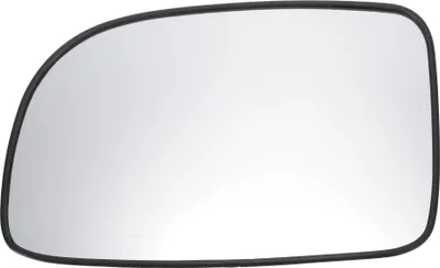 Vetro specchio, Specchio esterno VAN WEZEL 5828836