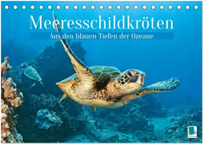Produktbild von Meeresschildkröten: Aus den blauen Tiefen der Ozeane (Tischkalender 2026 DIN A5 quer), CALVENDO Monatskalender
