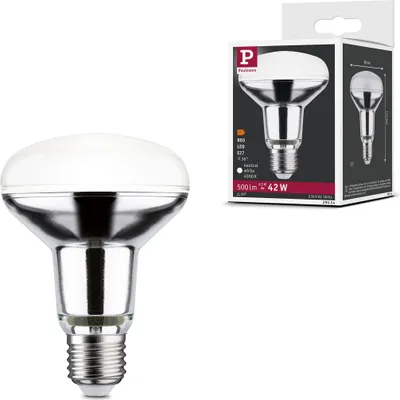Zdjęcie produktu dla Reflektor LED Paulmann Standard 230V