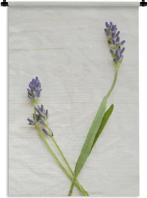 Produktbild von MuchoWow® Wandteppich Wandbehang Studioaufnahme von Lavendel 120x180 cm Tapisserie Dekoration Wandtuch - Schlafzimmer - Dekorationen für das Haus