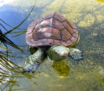 Image de Figurine miniature de tortue pour la décoration des petits étangs ou bassins de jardin