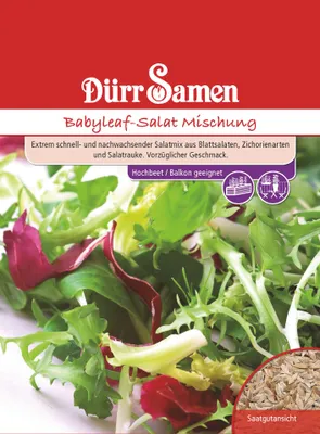 Produktbild von Babyleaf-Salat Mischung | Babyleaf-Salatsamen von Dürr Samen