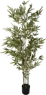 Obrázek produktu pro Clayre & Eef umělá rostlina 35x35x160 cm zelený plast