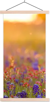 Produktbild von MuchoWow® Textilposter Blumen - Gold - Sonne 40x80 cm mit holzfarbenen Rahmen - Wohnzimmer