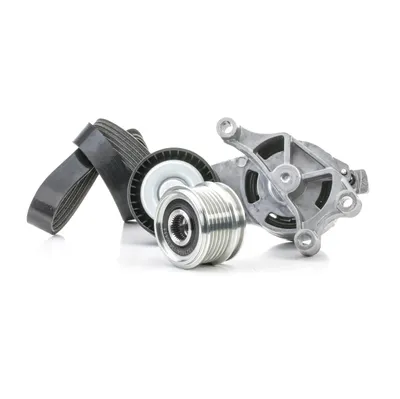 Produktbild von RIDEX 542R0250 Keilrippenriemensatz für VW GOLF VI (5K1)