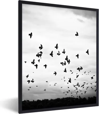Produktbild von MuchoWow® Gerahmtes Poster Tiere - Vögel - Wolken - Schwarz - Weiß 60x80 cm - Poster mit Schwarzem Bilderrahmen Wandposter Rahmen Foto Bilder - Premium - Wanddeko Wohnzimmer
